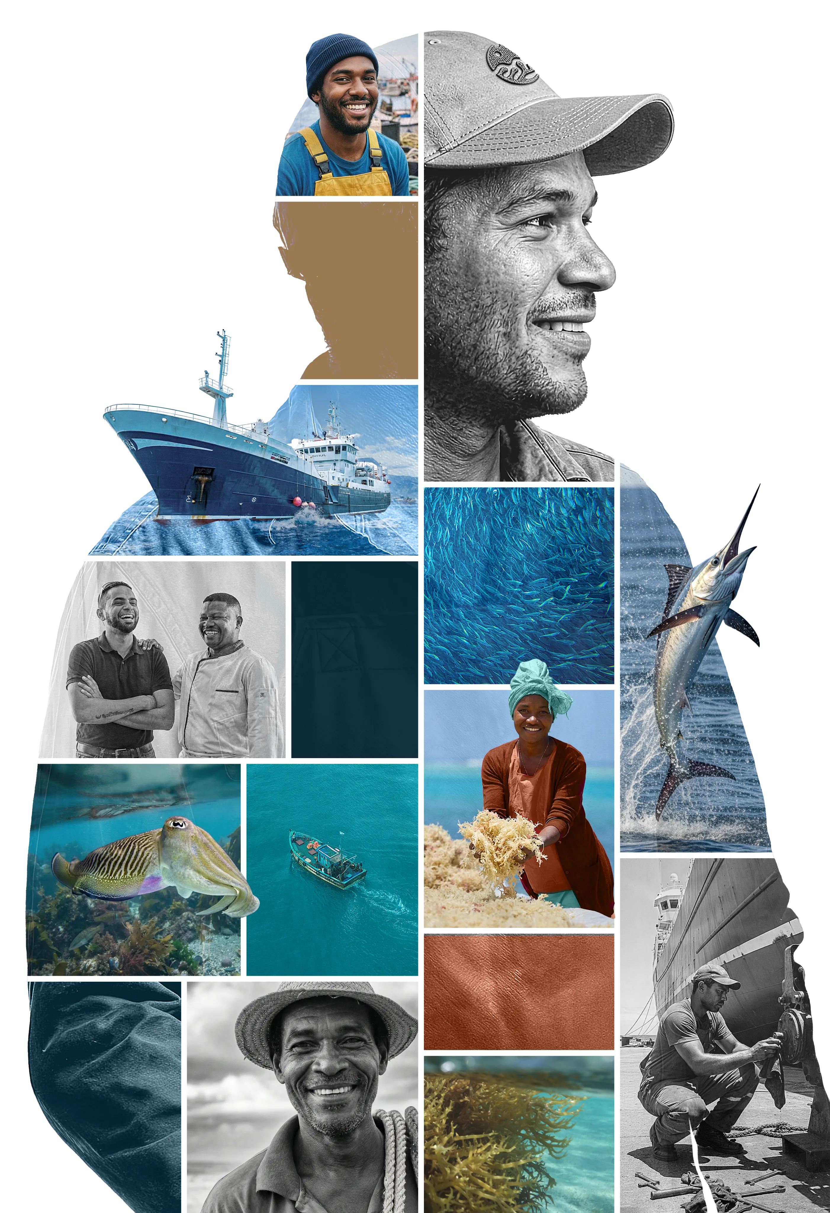 Collage en silhouette humaine — équipe Reunimer